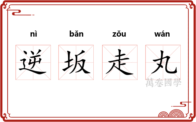 逆坂走丸
