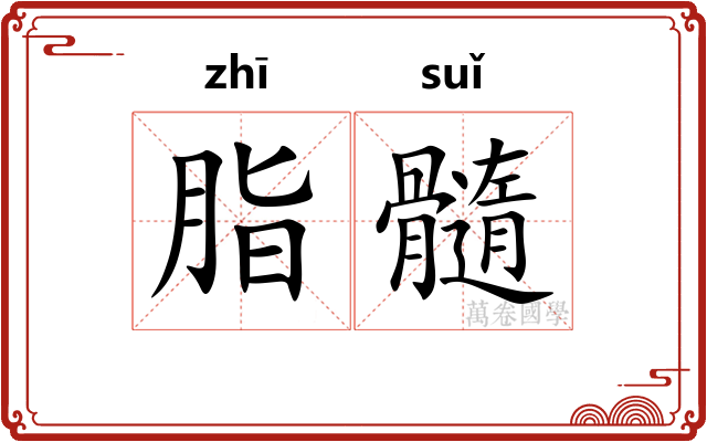 脂髓