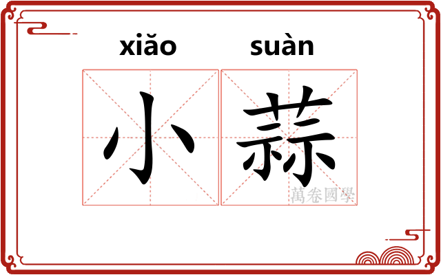 小蒜