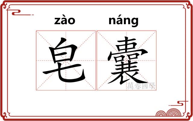 皂囊