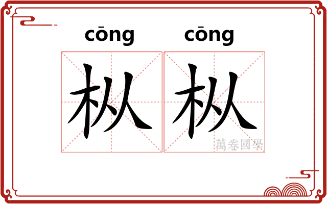 枞枞