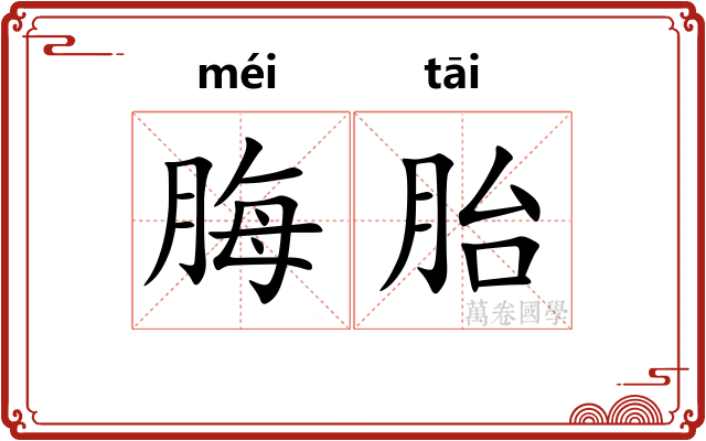 脢胎
