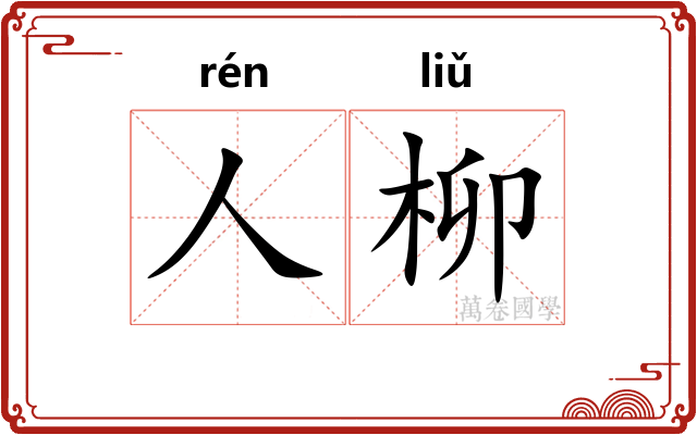 人柳
