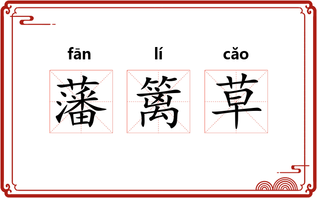 藩篱草