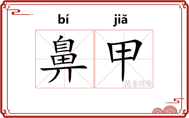 鼻甲