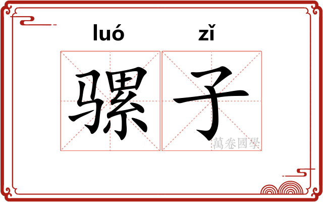 骡子