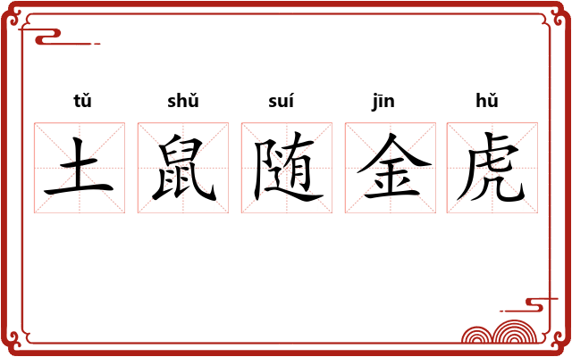 土鼠随金虎