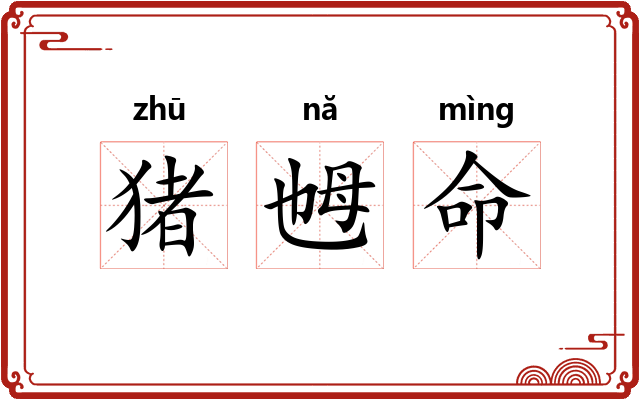 猪乸命