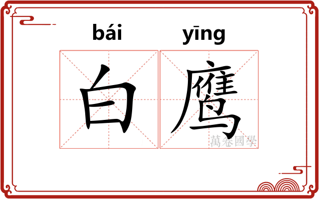 白鹰