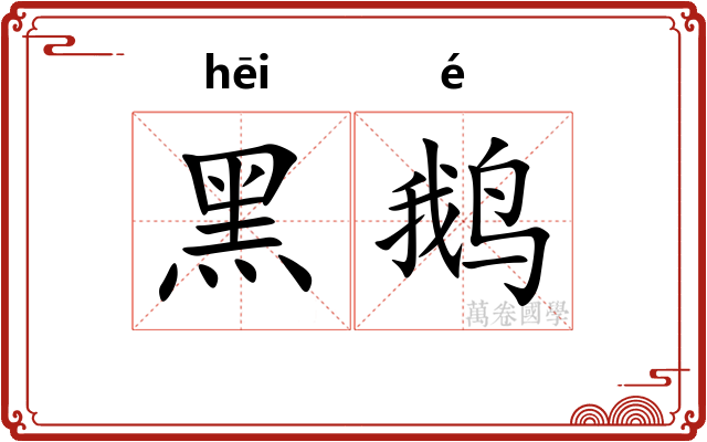 黑鹅