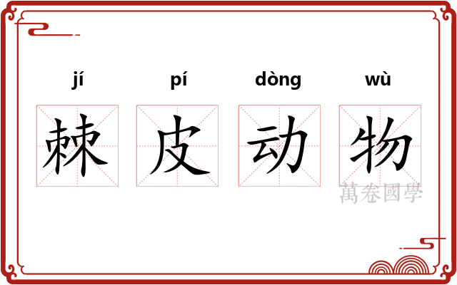 棘皮动物