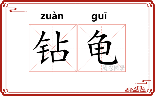 钻龟
