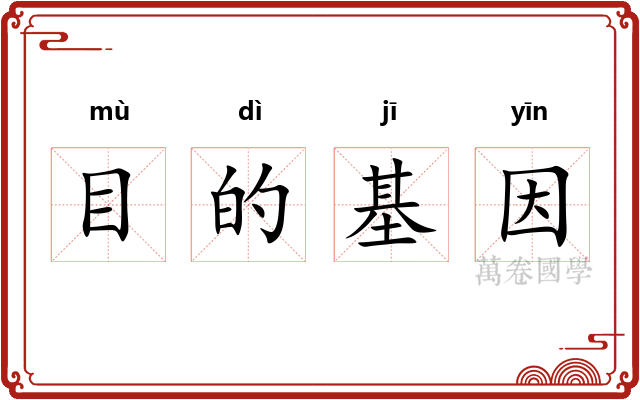 目的基因