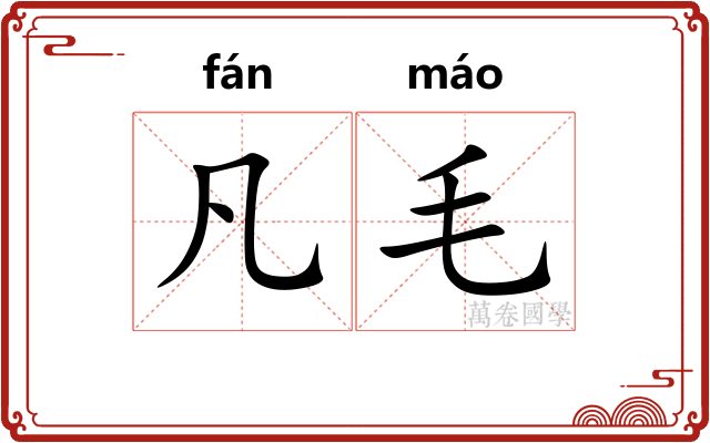 凡毛