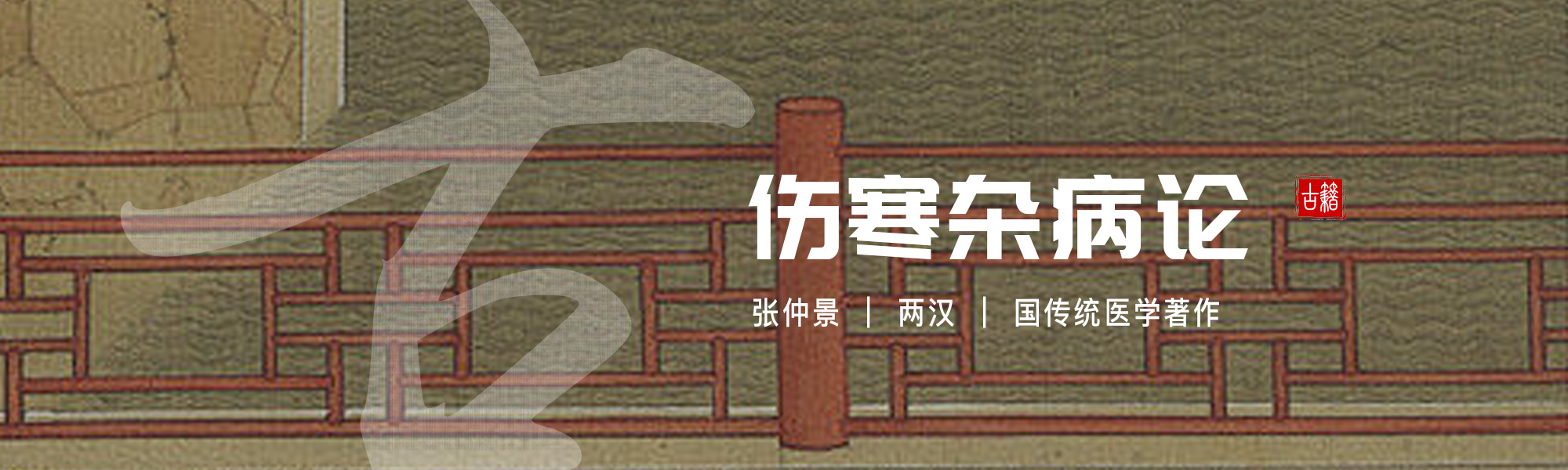 伤寒杂病论