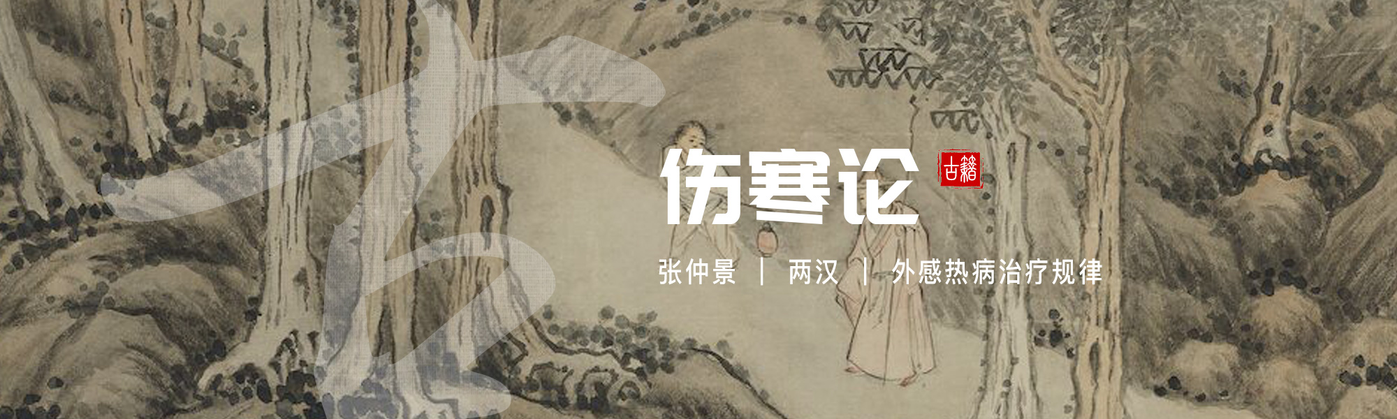 伤寒论