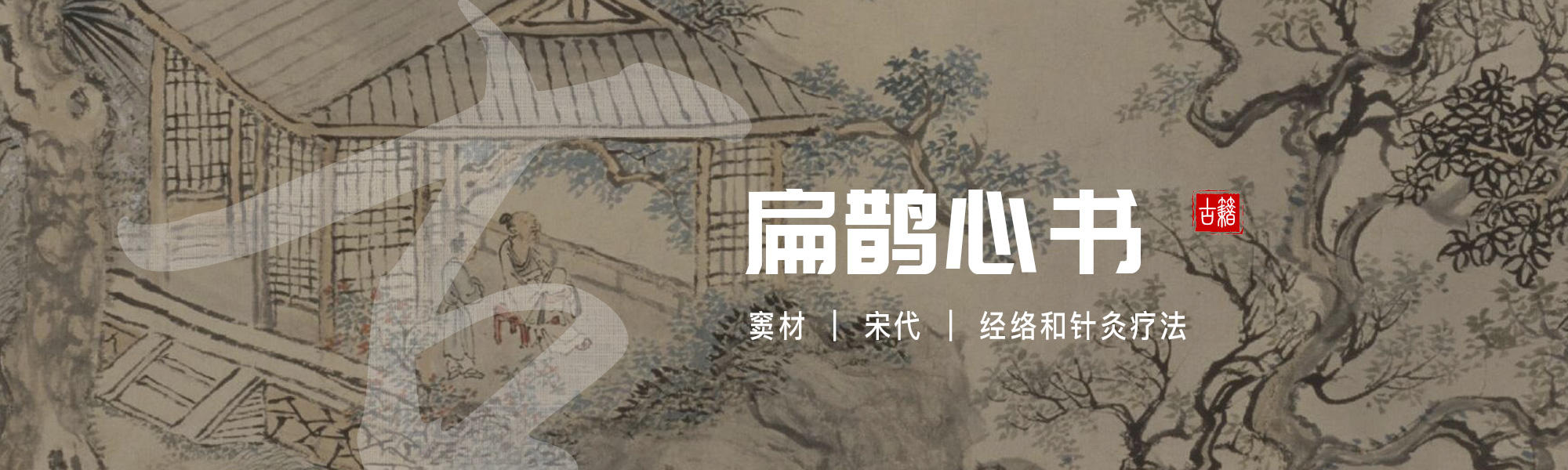 扁鹊心书