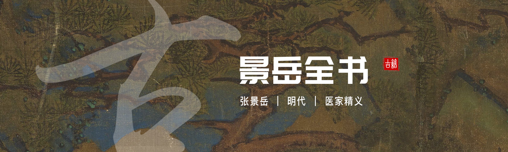 景岳全书