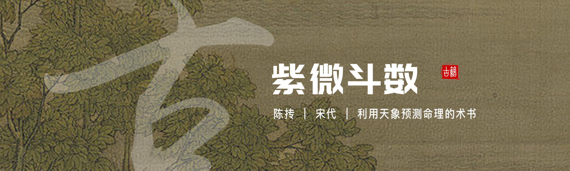 紫微斗数