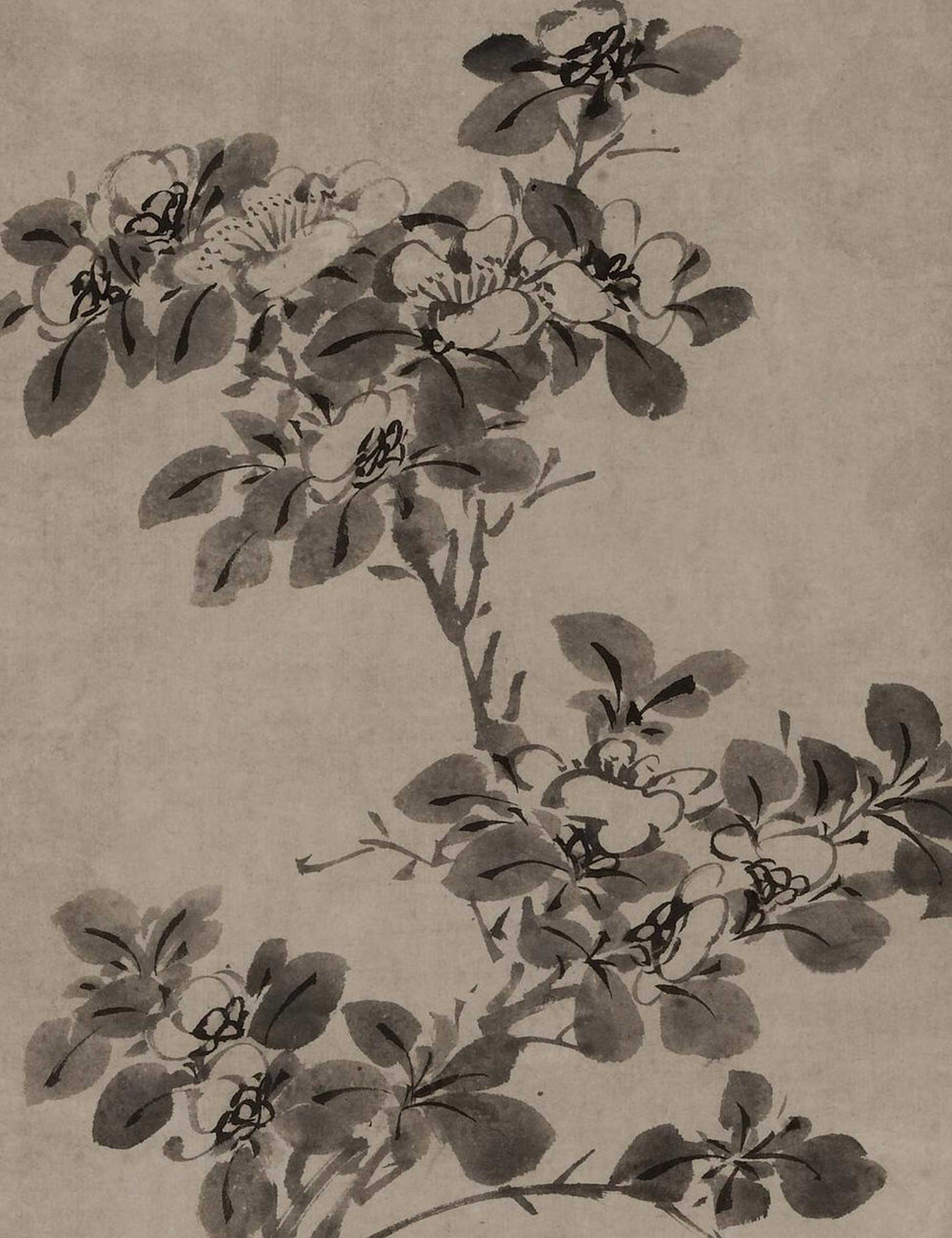 茶经