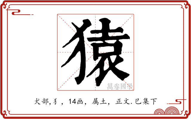 猿