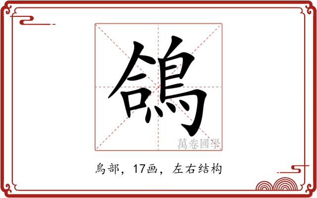 鴿